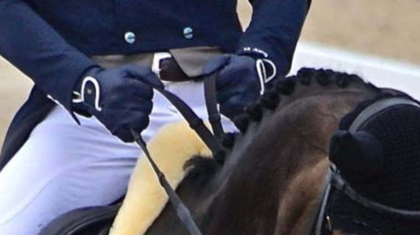 Rider hands | Eventing