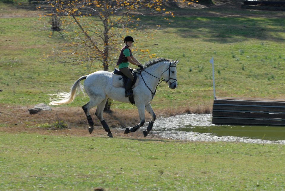 Canter by pond