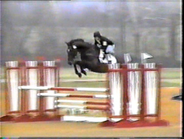 Show Jumping triple bar