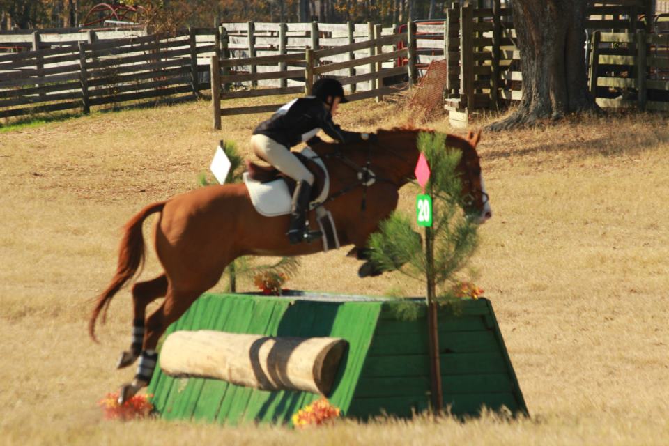 jumping with uneven hind legs