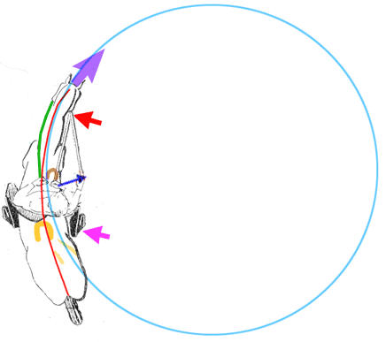 Circles and voltes - Dressage