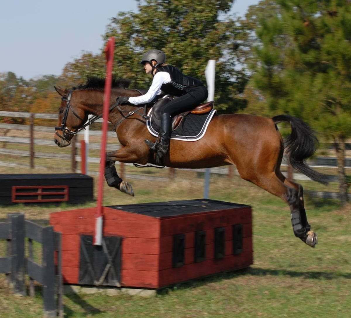 A Funny Story - With an Important Message! (Current freebie!)