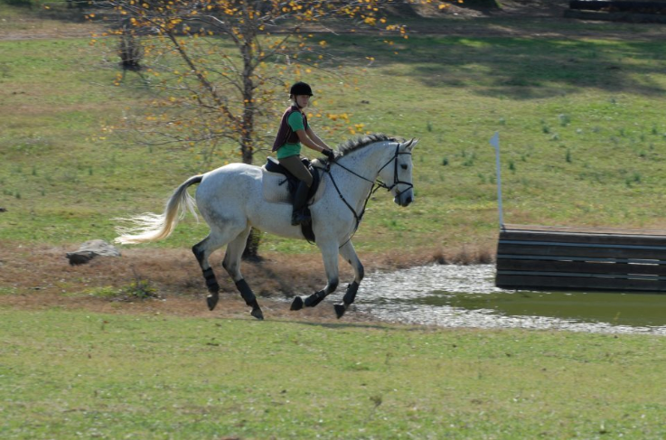 Training and Conditioning the Young Event Horse
