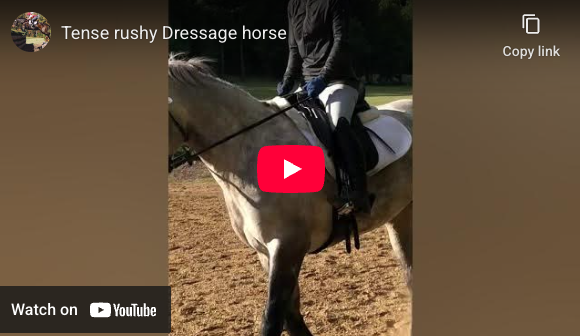Video # 323, and Question # 355: Rose would like some help with her 6 yo Connemara mare, who tends to be tense and rushy.