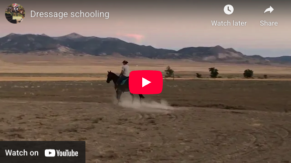 Video # 319: This is Kayla, working on her flatwork!