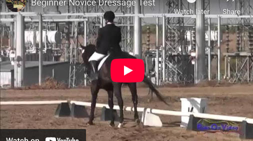 Video # 59: This is Rachel doing her Beginner Novice Dressage test!