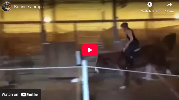 Video # 86: This is Holly, doing a row of bounces in her small indoor arena!