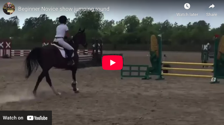 Video # 83: This is Lija doing a show jumping round!