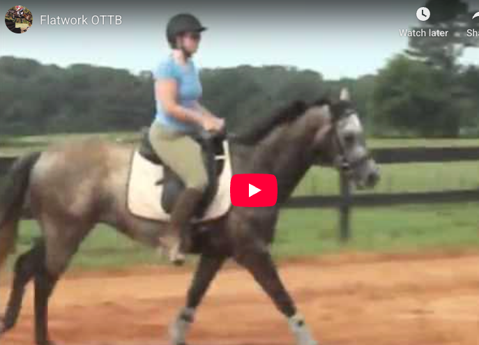 Video # 41: This is Laura!