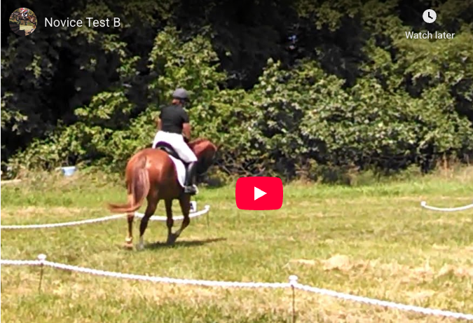 Video # 48: This is Kayla on another very nice horse, this time riding Novice Test B!