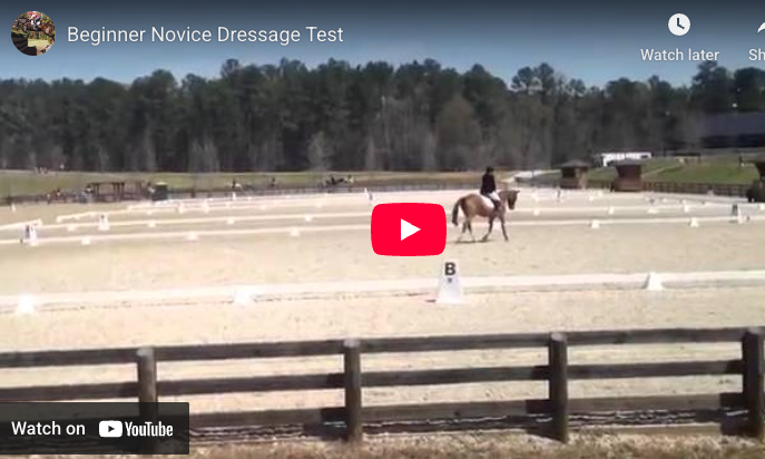 Video # 35: This is Kate!