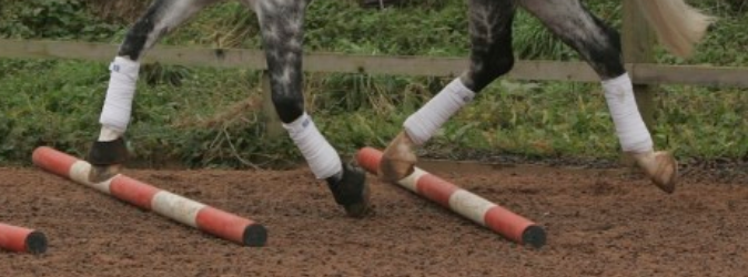 Advanced Trot Pole Exercise # 3