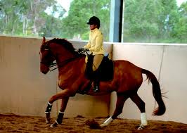 Improving Canter Departs