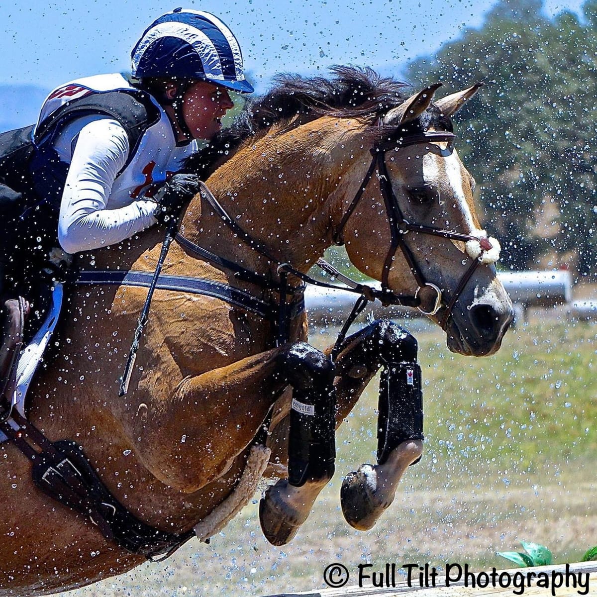 What Makes a Good Event Horse?