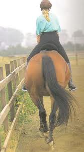 One Sidedness in Riders