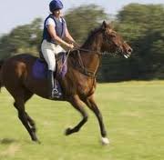 Horses That Swap Out Leads Behind at the Canter