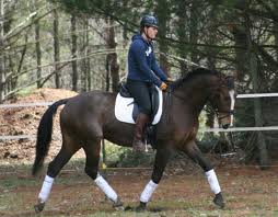 A Fun Exercise to Test Your Control and Your Horse's Responsiveness