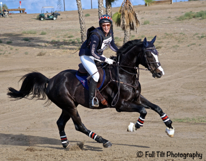 A TEST of Your Horse's Rideability & Adjustability