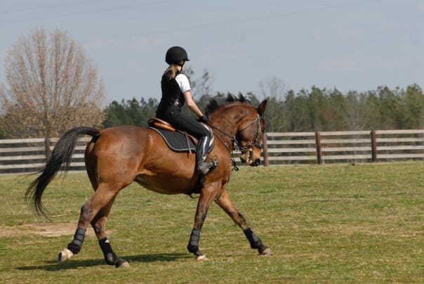 HOW to Use the Turn Into Each Jump to Balance Your Horse