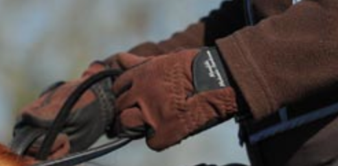 A Quick and Easy Rider Hand Position Self Check