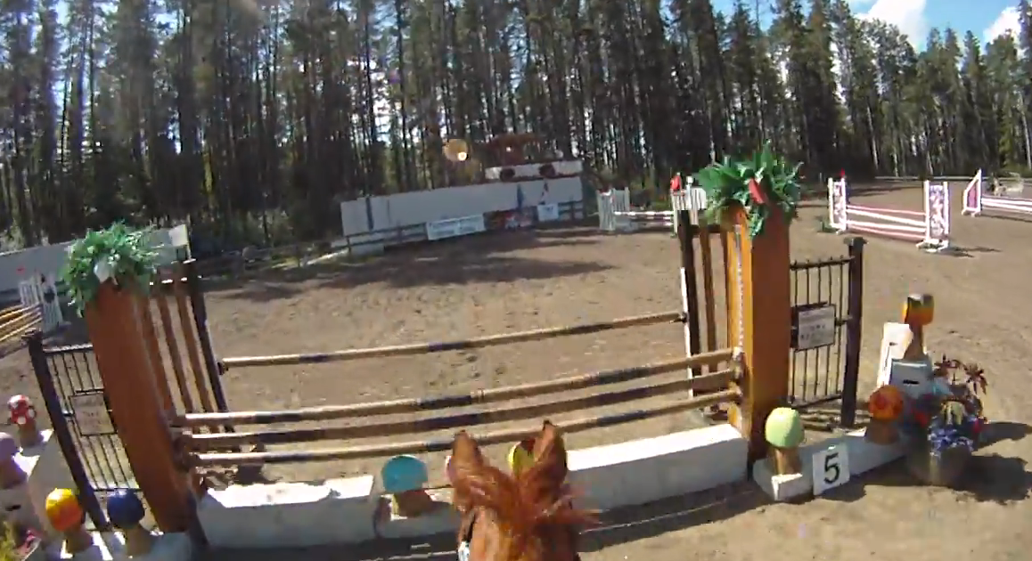 An Exercise to Teach Your Horse Not to Anticipate When Jumping