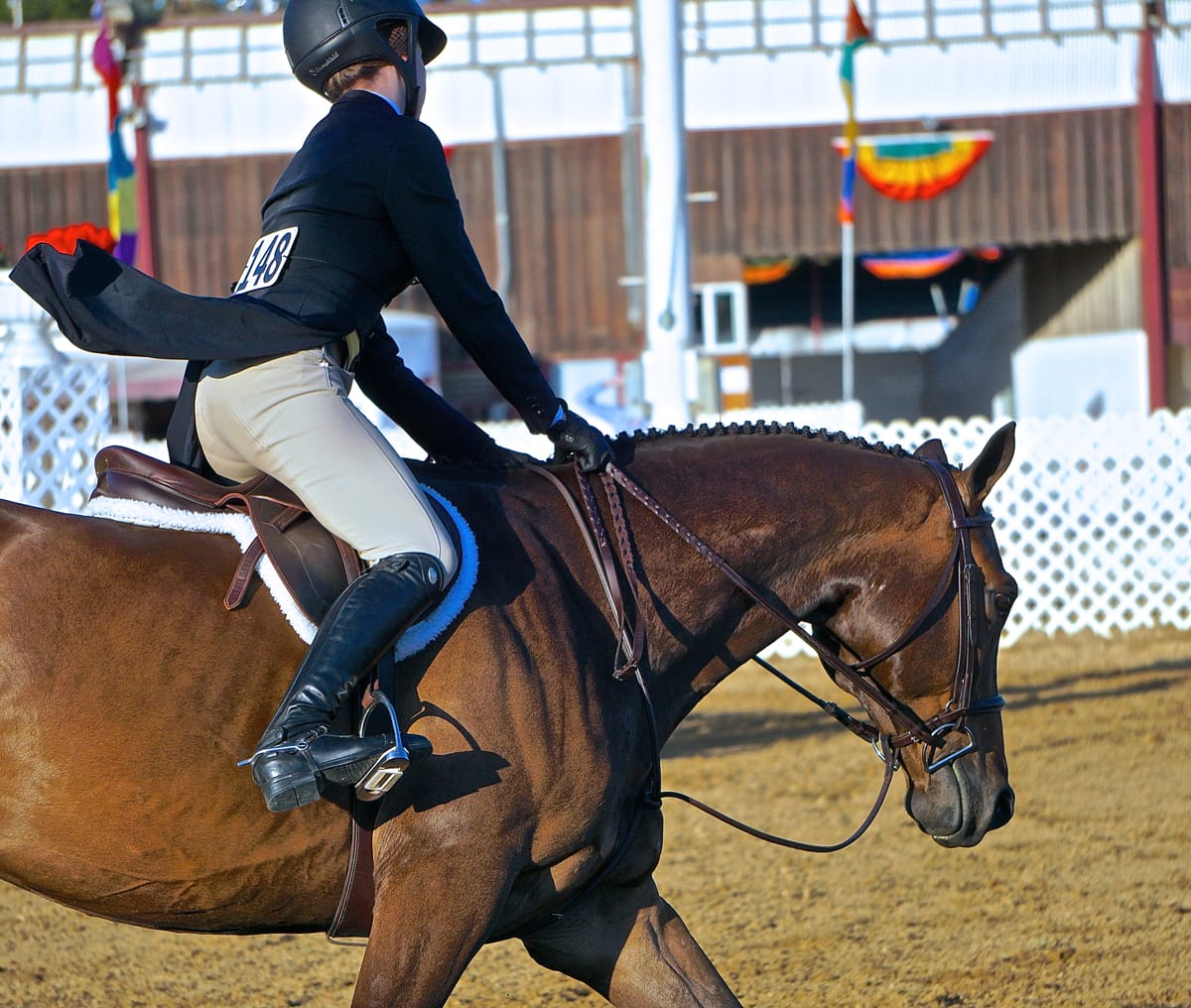 Does Your Horse Try to Pull You Out of the Saddle?