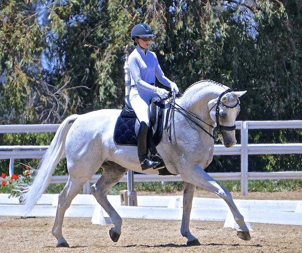 An Exercise to Teach Your Horse to Be More HOT to Your Inside Leg Aid