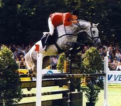 The Horse That Jumps TOO High