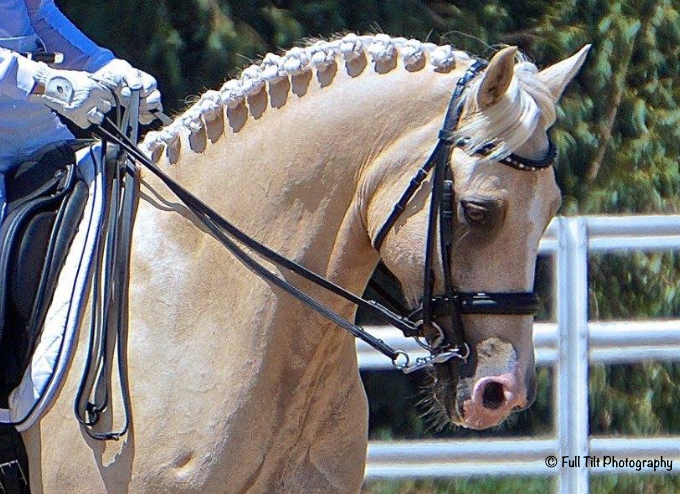 An Exercise to Improve Your Ability to Coordinate Your Aids