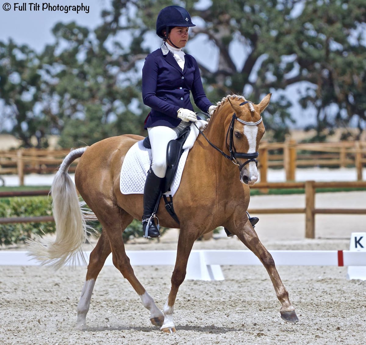 Exercises to Improve Your Horse's Suppleness