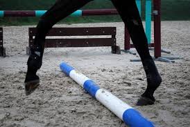 Learn Your Horse's Natural Tendencies