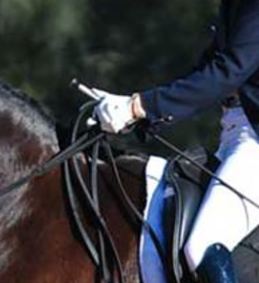 A Quick and Easy Self Hand Check For Riders