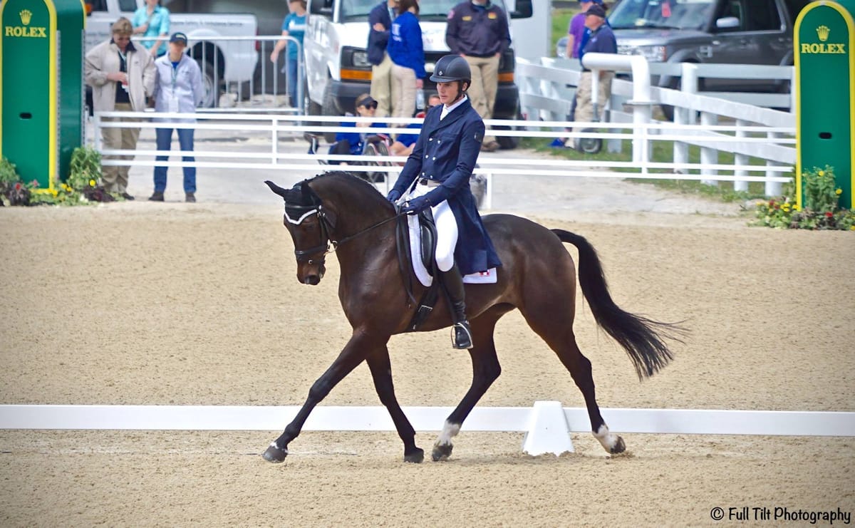 An Exercise to Improve Your Horse's Carriage in the Dressage Ring