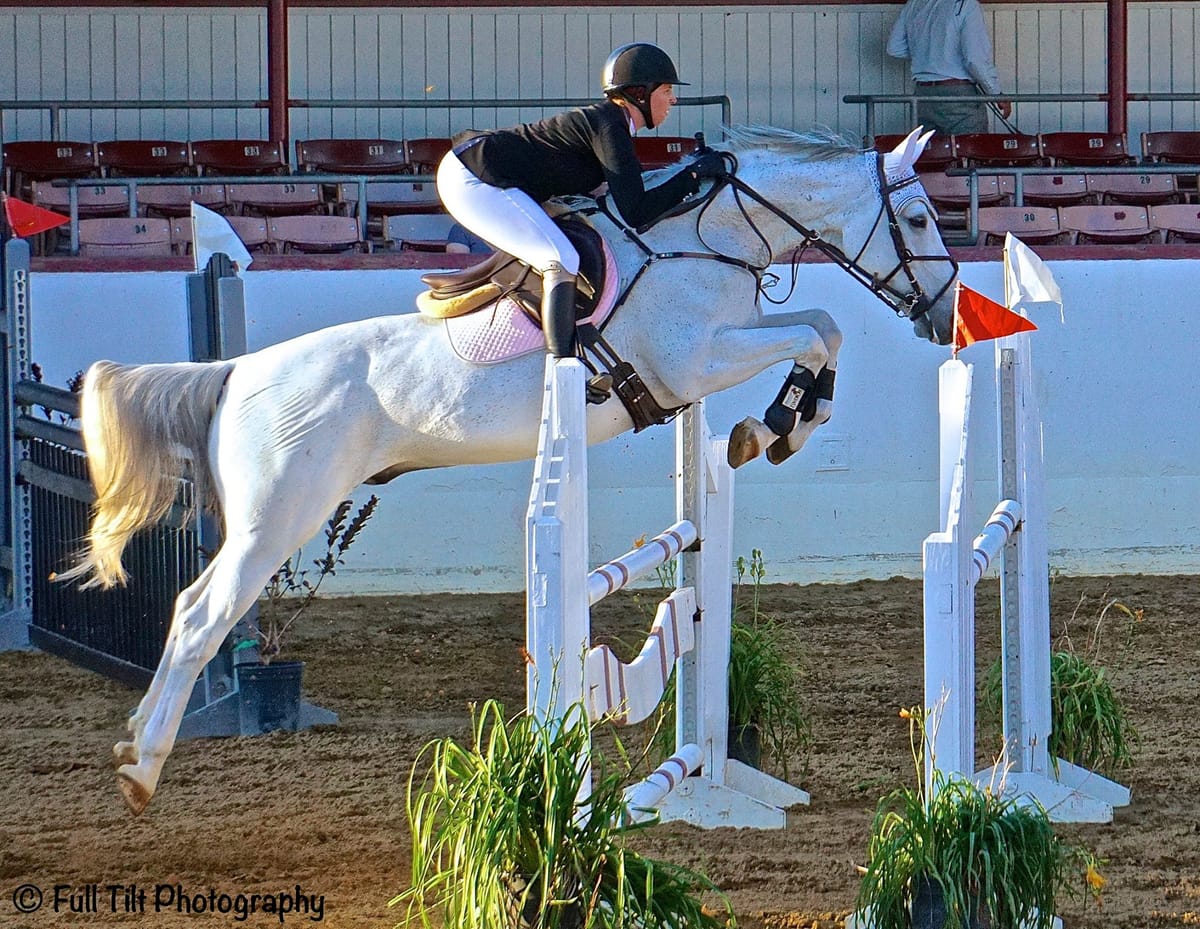 An Exercise to Help You Find an Even Pace Over Fences