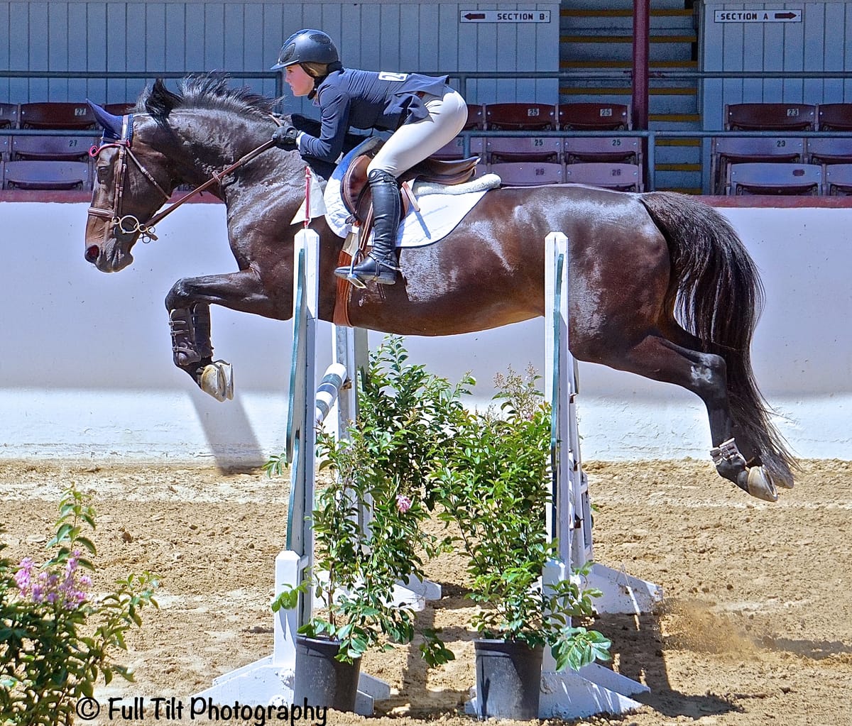 An Exercise to Teach BOTH Horse & Rider to Be More Patient in Front of Jumps