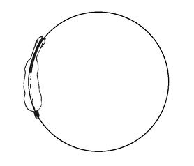 Why Good Circles Go Bad