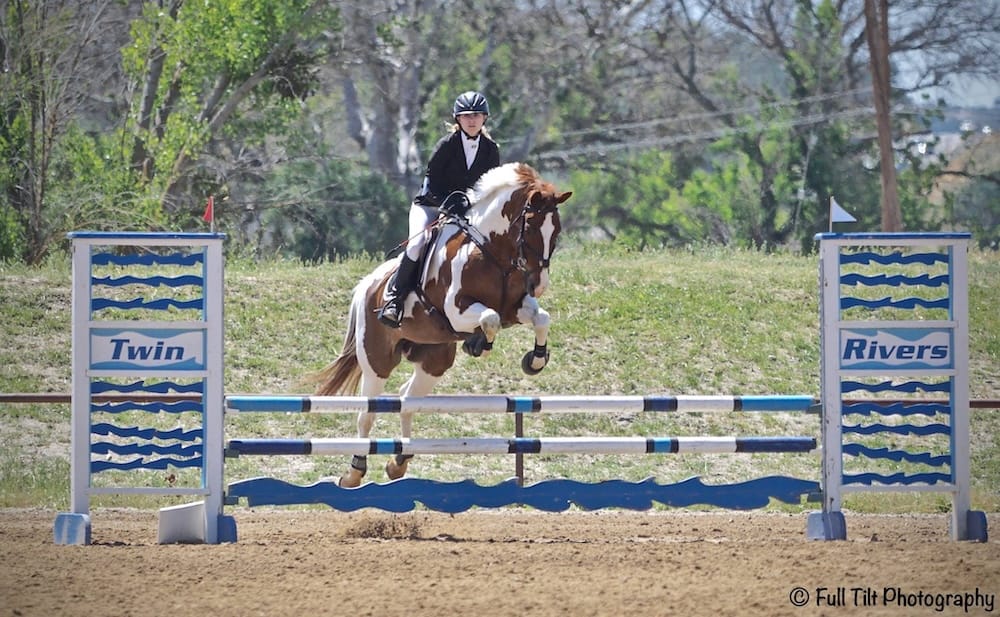 Are You Going the Right Speed For YOUR Horse in the Show Jumping?