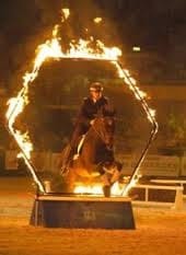 The Bravery Test  (Current freebie!)