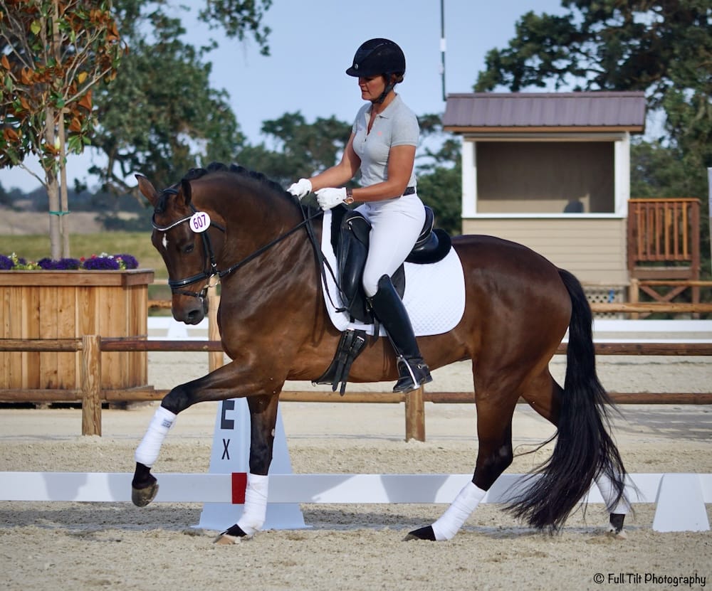 Training the "Cluck" Response