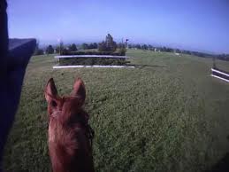 Help Your Horse to Better See the Jump in Front of Him
