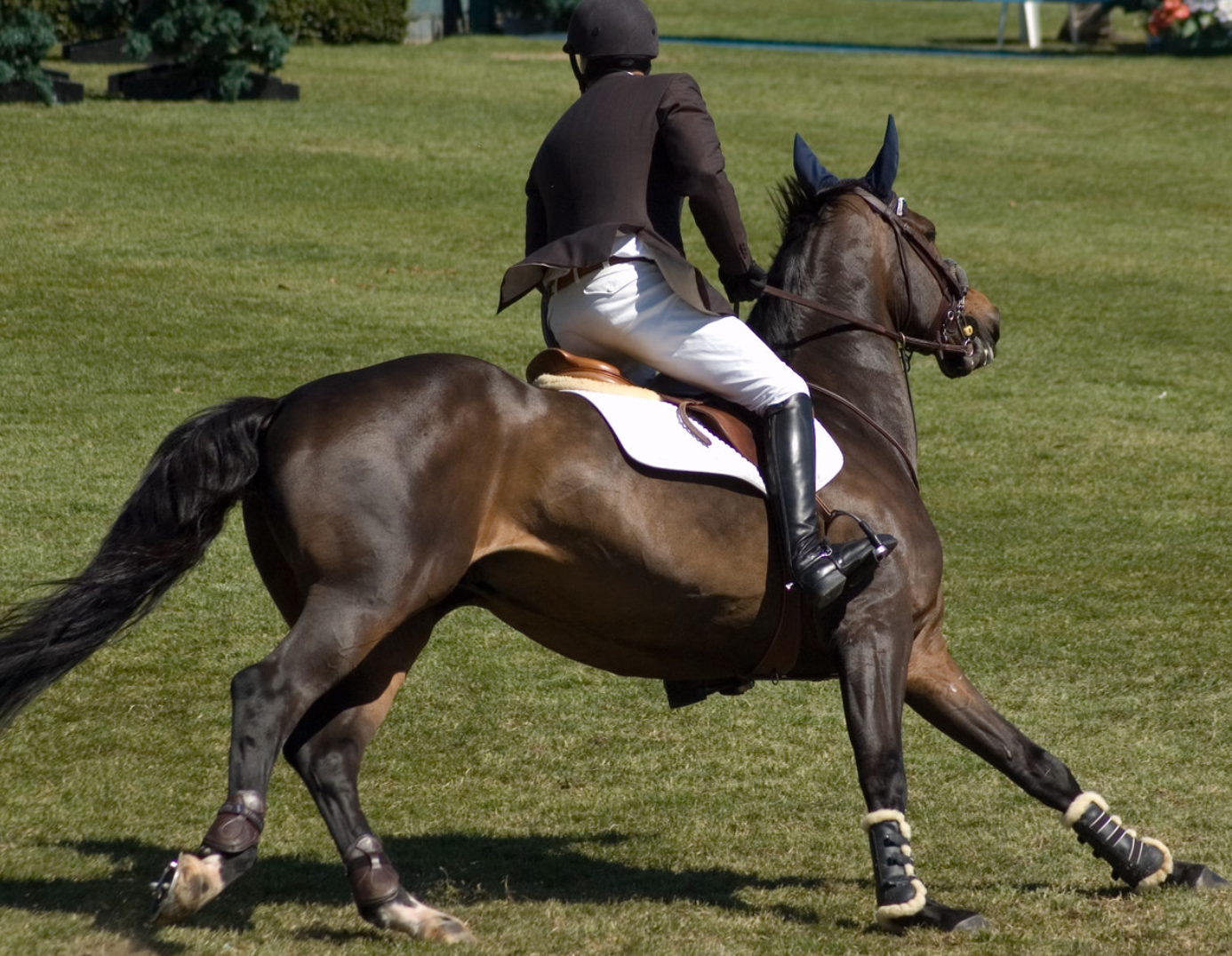 An Exercise to Teach You to Ride Forward Through the Turns to Jumps