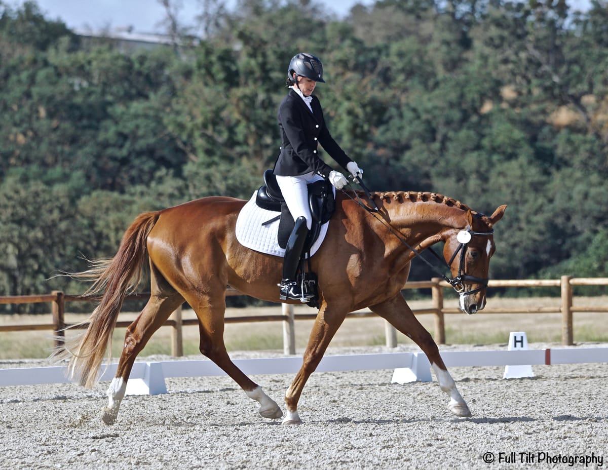 Stretching the Horse