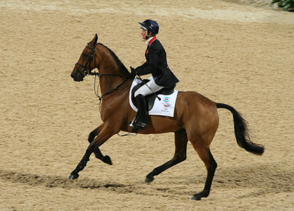 Lunging as a Training Aid