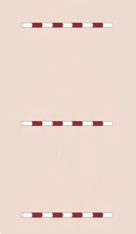 Canter Pole Exercise # 1