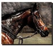 Riding in HOT Weather