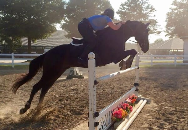 An Advanced Trot Pole Exercise to Improve Suppleness, Strength, and Rideability