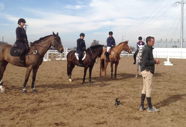 The Mark Todd Clinic - Fresno CA, Jan 2015 (Current Freebie!)