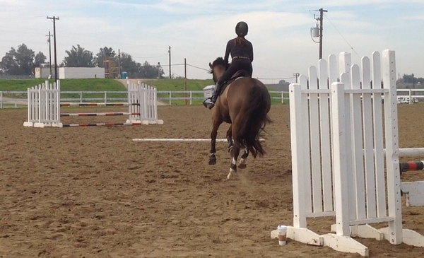 The S-Turn Jumping Exercise