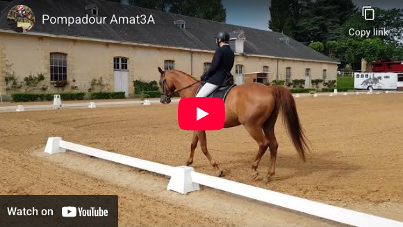 Video # 326: This is Sophie, riding a Dressage test in Pompadour, France!