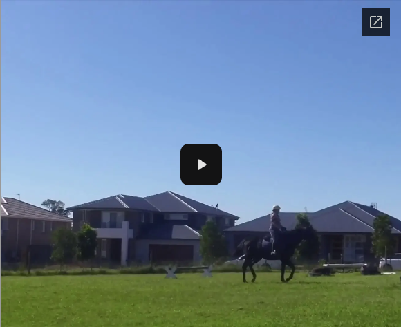 Video # 320: This is Bridget, and her 20 year old horse who hasn't done this in quite a while!